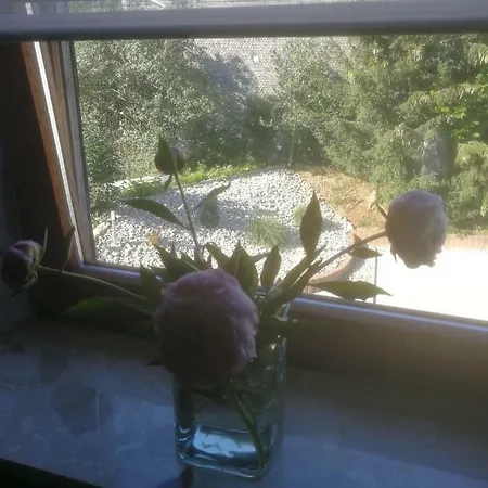 Algenrodt Apartment *