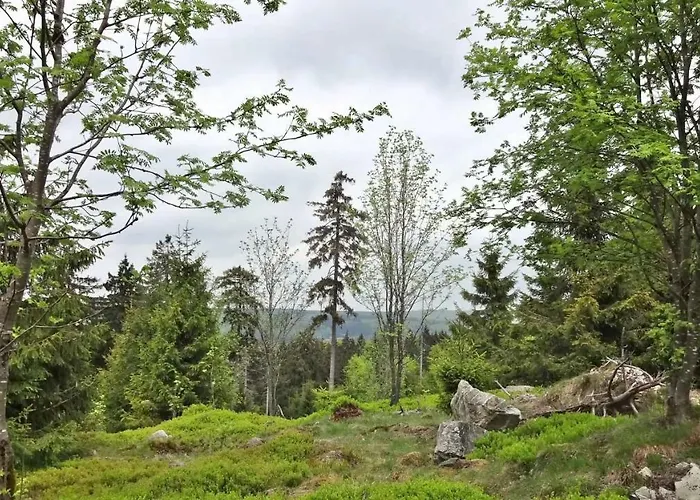 Algenrodt Apartment Idar-Oberstein